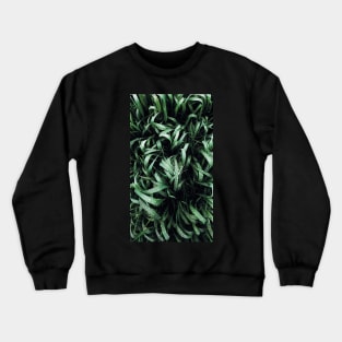 DOPE GRASS Crewneck Sweatshirt